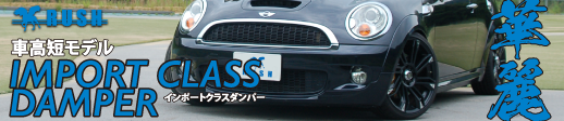 RUSH IMPORT CLASS